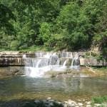 Avatar for Jennifer Pushlar